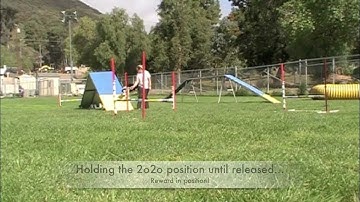 AFrame Sequencing: Clicker Training Dog Agility