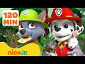 Patrulha Canina | Resgates na Natureza ao Ar Livre 🐵 | 120 min | Nick Jr. em Português