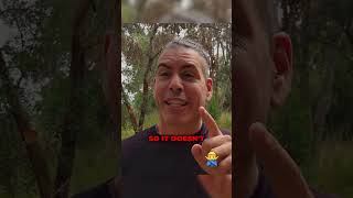 Overcoming Instant Gratification. Why you keep scratching those mosquito bites!!  | RayMaor.com