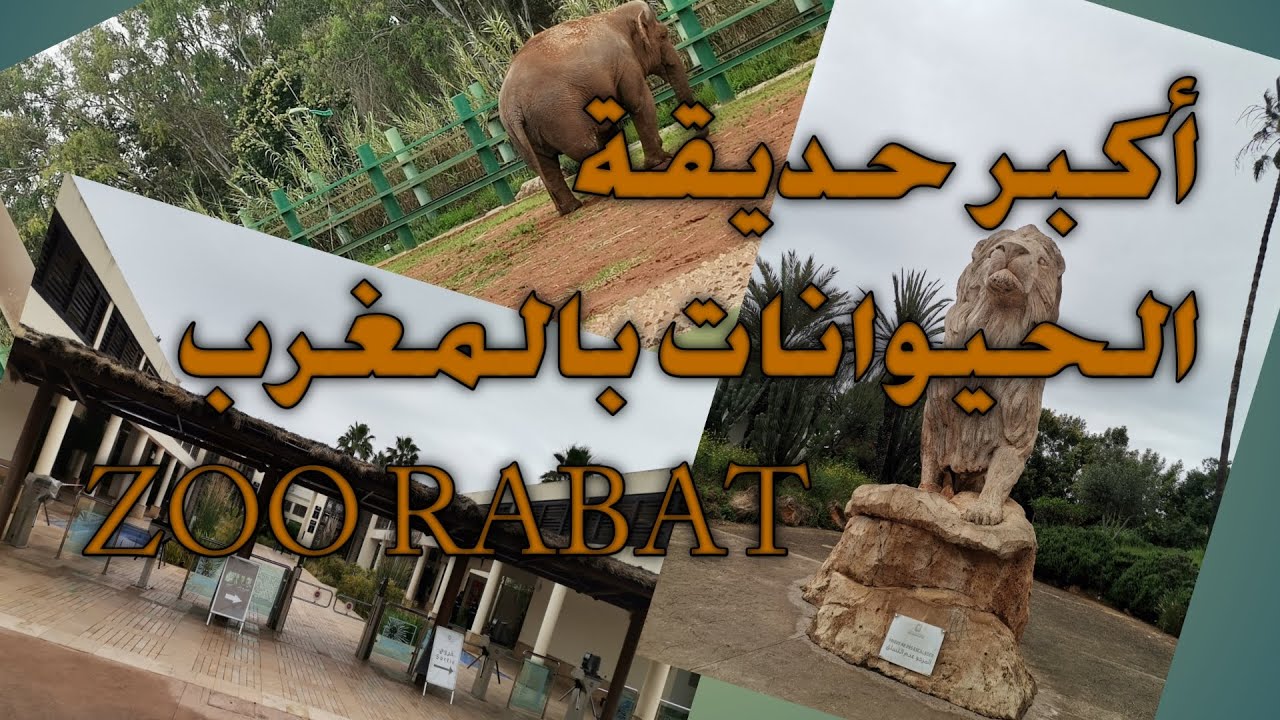 jardin-zoologique-de-rabat-youtube
