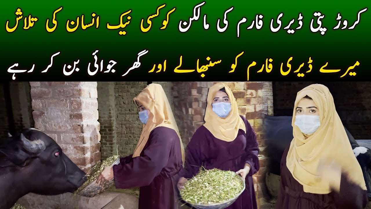 Dairy Farm ki Malkan ko Kisi Neek Insan ki Talash | Aman Pakistan