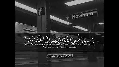 ما تيسر من سورة الزمر بصوت الشيخ وديع اليمني.