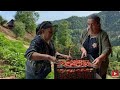 WE PICKED STRAWBERRIES AT THE TOP OF THE MOUNTAIN IN THE RAIN