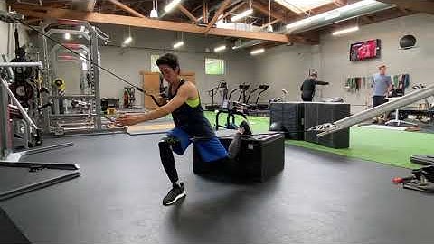 Eccentric Cable Resisted Rear Foot Elevated Split Squat with 1 Arm Row and Thoracic Rotation
