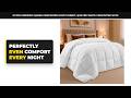Utopia Bedding Queen Comforter Duvet Insert, Quilted White Comforter with Corner Tabs, Box