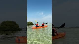 Al Mafjar Mangroves: The Hidden Gem in Qatar