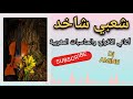 شعبي شاخد 2025 شعبي شاخد شاخدة ديدجي 2025 أغاني الأفراح والمناسبات المغربية ديدجي أمين 