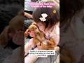 Dog love baby🥰🥰 #love #lovestory #dog #baby #fyp #usa