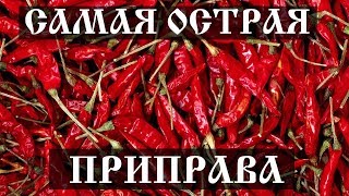 Самые острые  приправы в мире