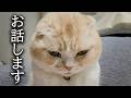 病院の先生と揉めました...