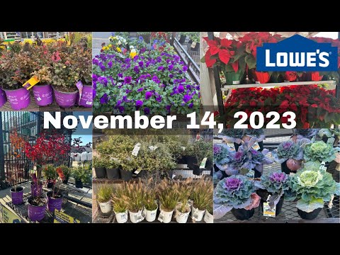 New * Lowe's Garden Center November 14, 2023 | Shop With Me # ...