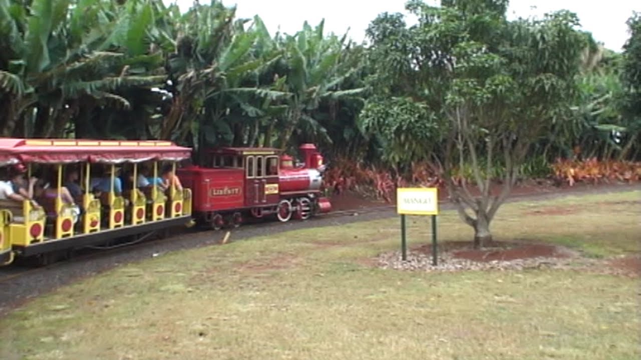 Dole Pineapple Plantation Train Ride YouTube