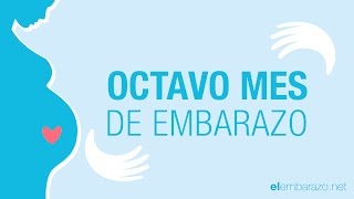 Octavo mes de embarazo | 8 meses de embarazo | El embarazo mes a mes