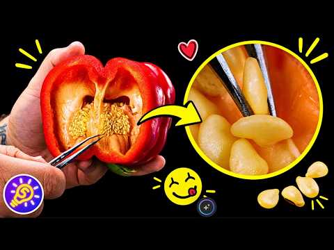 Boring Everyday Things turn Fascinating! Just Look! Just Listen! ASMR