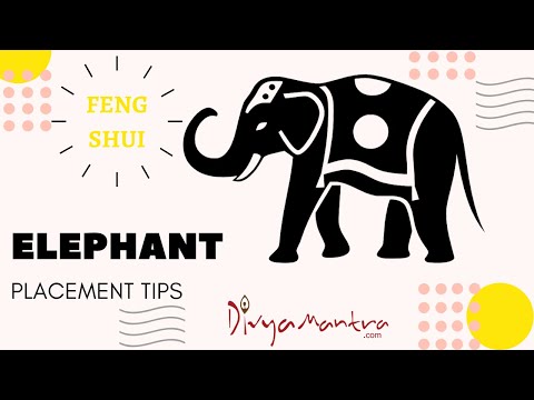 फेंगशुई हाथी का स्थान - घर में हाथी की मूर्ति रखने के लाभ, प्रजनन उपचार
