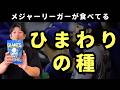 メジャーリーガーが食べてる「ひまわりの種」。味、食べ方をご紹介！