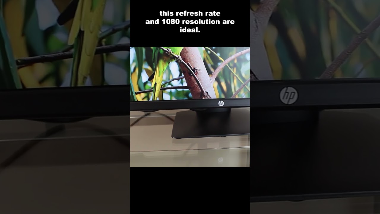 HP X24ih 23.8 