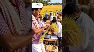 ఖరీఫ్లో ఏ పంట వేస్తే ఎక్కువ లాభాలు వస్తాయి? | Kharif Crop Selection Tips Telugu