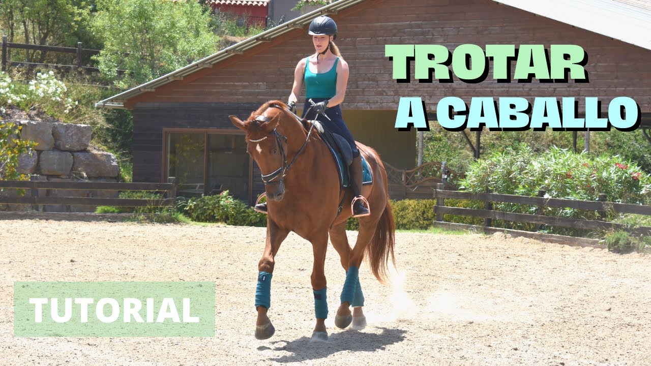 Cómo trotar levantado a caballo | Tutorial