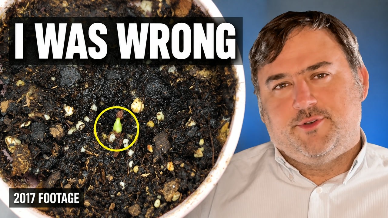 I Trusted the Seed Float Test. Then I Checked Again.