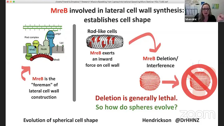 Heather Hendrickson: Evolution of spherical cell s...
