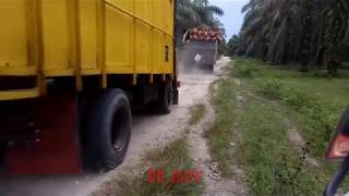 Truk Sawit Ps 120 Vs Ps 100