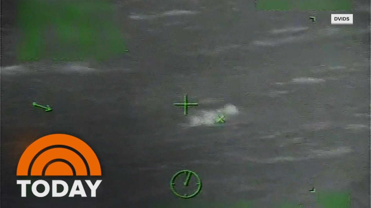 Video: Cruise Ship Passenger Saved After Falling Into Gulf Of Mexico ...