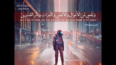 سورة البقرة : القارئ طارق محمد