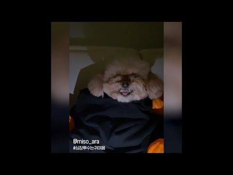 [🎃~10/4 마감 임박🎃] 다가오는 할로윈, 나의 끼를 보여주고 싶다면?