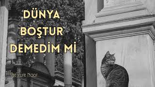 Dünya Boştur Demedim mi | İlahi Cover