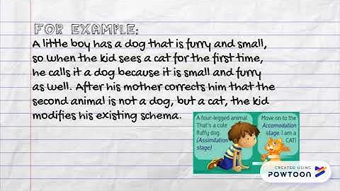 Assimilation vs. Accommodation