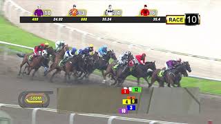 Vidéo de la course PMU PRIX FATKID 2011 STAKES