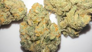 ZHIT’Z FIRE From Bronny Farms : strainafterstrain