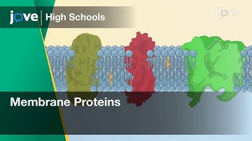 Membrane Proteins | Cell Bio | Video Textbooks - Preview