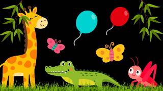 Baby Sensory Video - High contrast - Sensory Videos for Babies - Visual Stimulation for Newborn