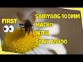 First Look Samyang 100mm Macro with the Sony A6400