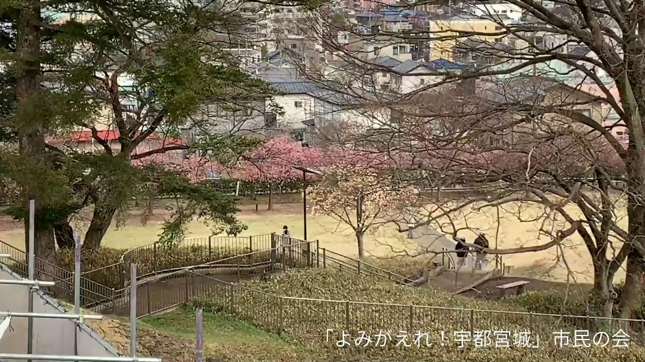 ３月２３日 宇都宮城址公園 桜ライブ配信 Youtube