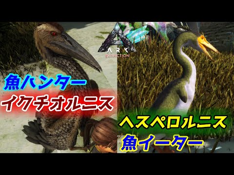 2種類の ルニス は魚獲り名人 イクチオルニス ヘスペロルニス をテイム Ark Survival Evolved Ark Extinction Youtube