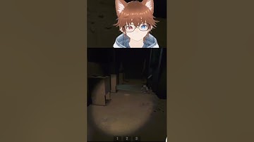 "Dont touch the duck" | #dizziytw on #Twitch