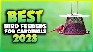 Top 5 Best Bird Feeders for Cardinals You can Buy Right Now [2023]