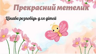 Прекрасний метелик🦋 Цікава розповідь про метелика для дітей✨