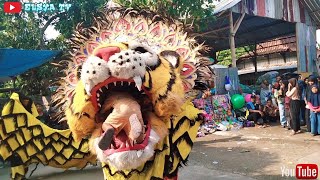 Barongan Besar Makan Bocil❗Seni Barong Singo Makaryo