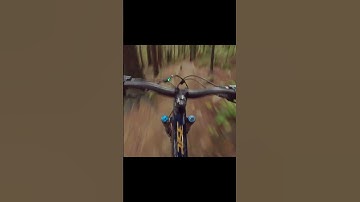 MTB: roll roll roll roll 🚴