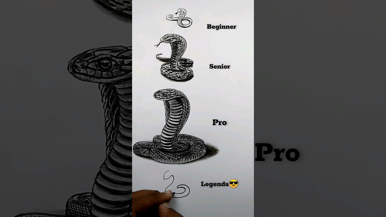 how to draw king cobra 