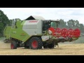 Getreideernte 2015 mit  Claas Tucano 430