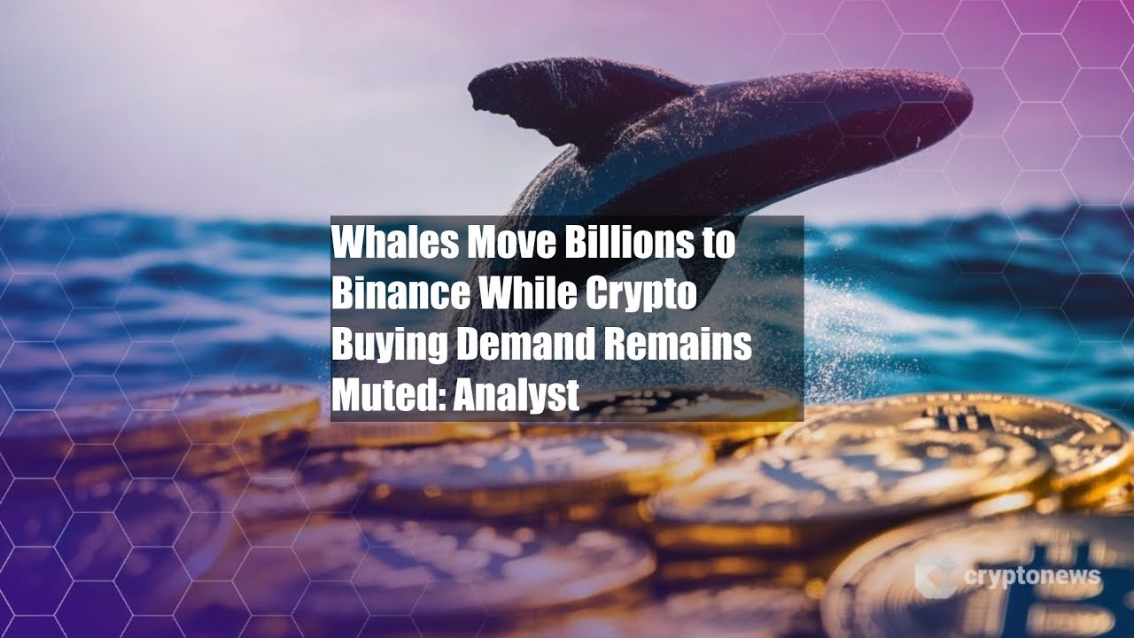 Whales Move Billions to Binance While Crypto Buying Demand Remains - YouTube