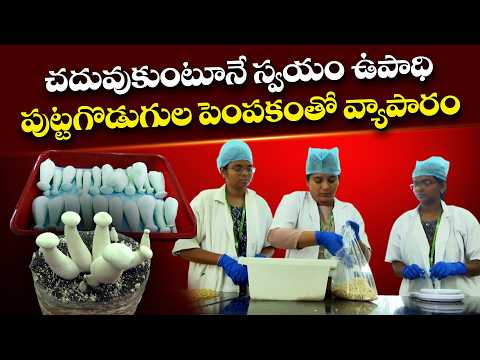 చదువుకుంటూనే సంపాదన...మష్రూమ్ సాగుతో ఆదాయం ఆర్జిస్తున్న విద్యార్థినులు || Yuva