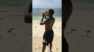 Playing a Conch Shell on the beach Sea Side 🌊 in the Bahamas NovaSound.Music #Short @GNovaSound