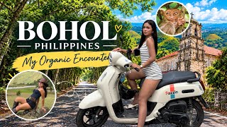 Could You Fall in Love in Bohol, Philippines? 🇵🇭 | Your Ultimate Guide to Organic Encounters!