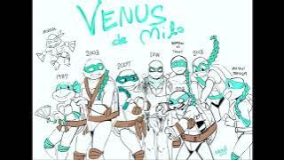 Ninja Turtles: The Next Mutation OST - Intro Theme (The GOOD version, Extended)